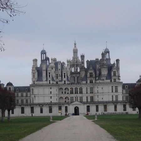 Gite Le Cerf Solognot Proche Chateau Chambord, Lamotte Beuvron Neung-sur-Beuvron ภายนอก รูปภาพ