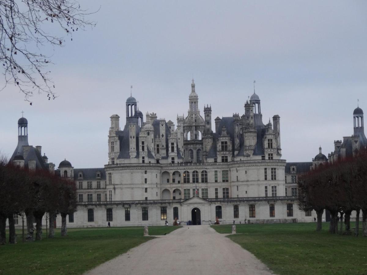 Gite Le Cerf Solognot Proche Chateau Chambord, Lamotte Beuvron Neung-sur-Beuvron ภายนอก รูปภาพ